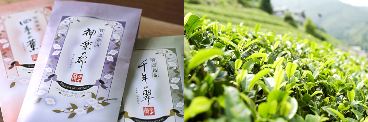 いつもの伝統緑茶